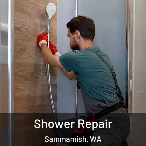  Shower Repair Sammamish, WA