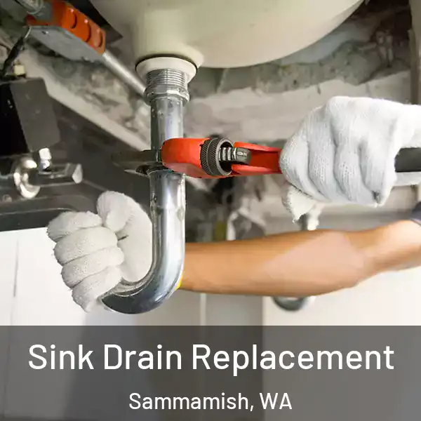 Sink Drain Replacement Sammamish, WA