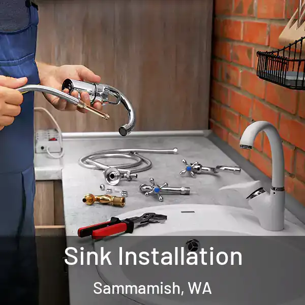  Sink Installation Sammamish, WA