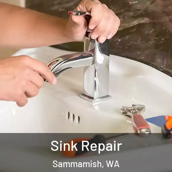  Sink Repair Sammamish, WA