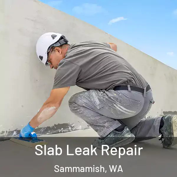  Slab Leak Repair Sammamish, WA