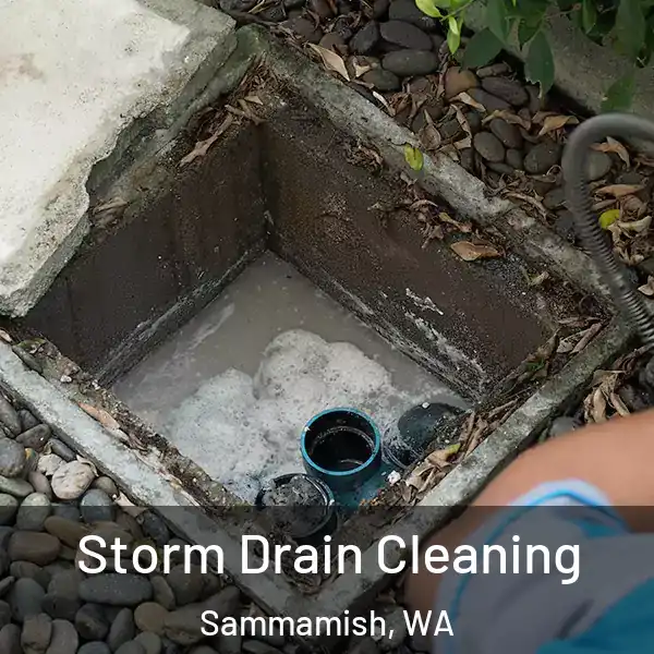  Storm Drain Cleaning Sammamish, WA
