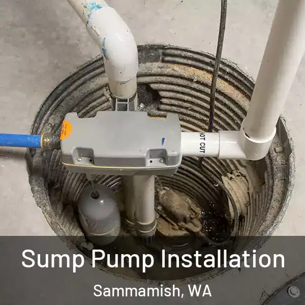  Sump Pump Installation Sammamish, WA