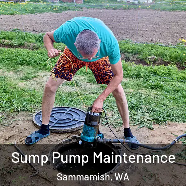  Sump Pump Maintenance Sammamish, WA