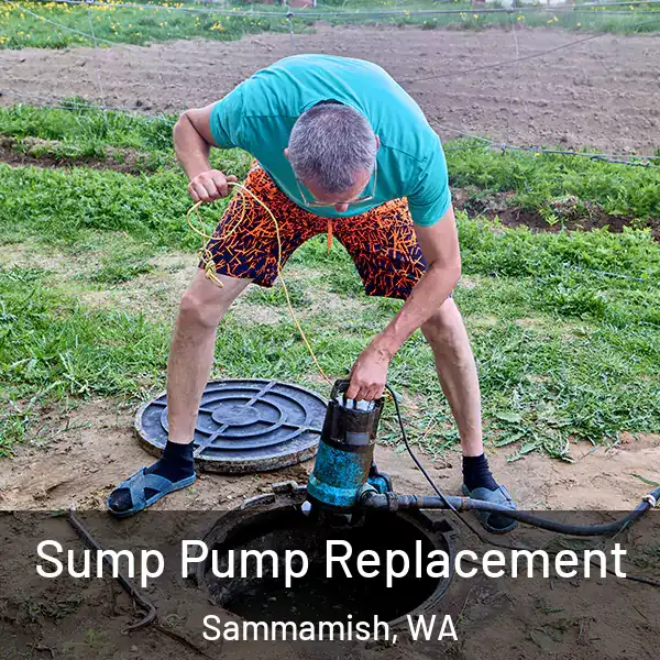  Sump Pump Replacement Sammamish, WA