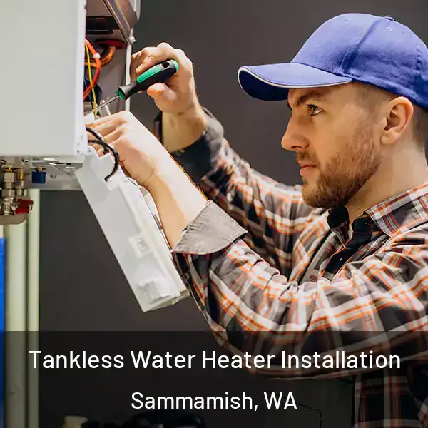  Tankless Water Heater Installation Sammamish, WA
