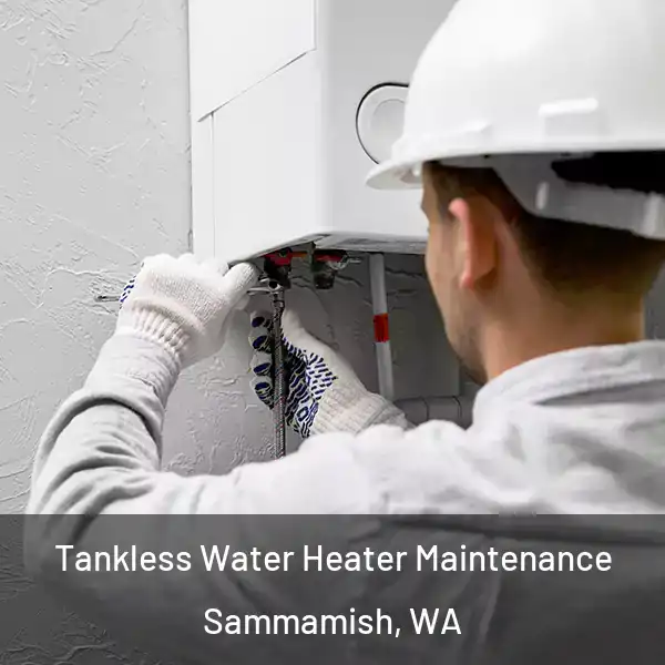  Tankless Water Heater Maintenance Sammamish, WA