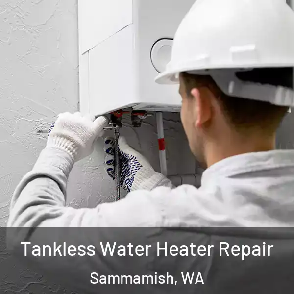  Tankless Water Heater Repair Sammamish, WA