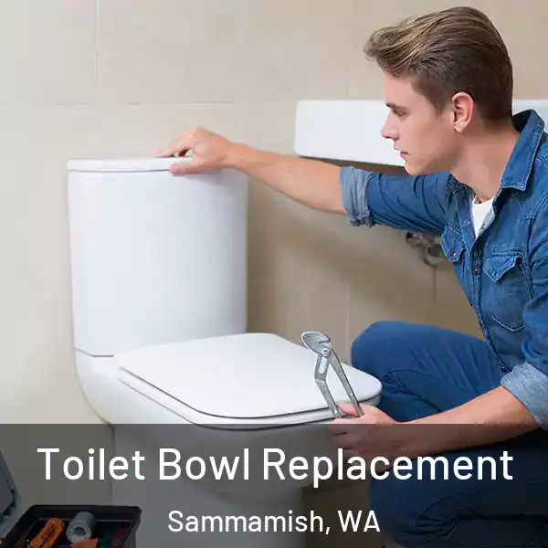  Toilet Bowl Replacement Sammamish, WA