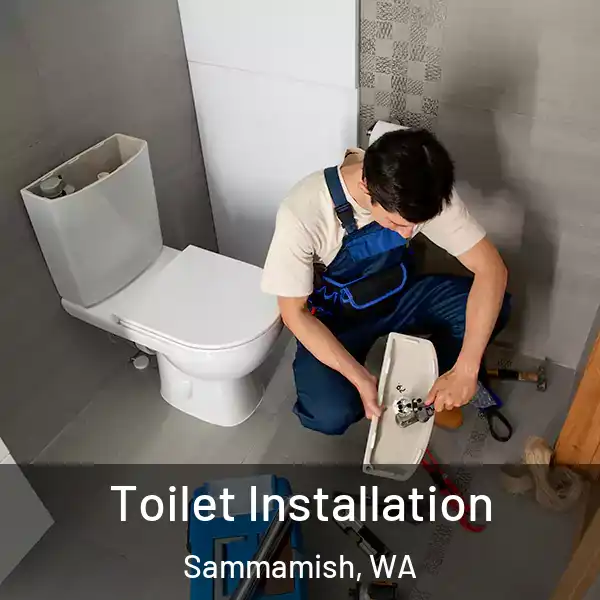  Toilet Installation Sammamish, WA