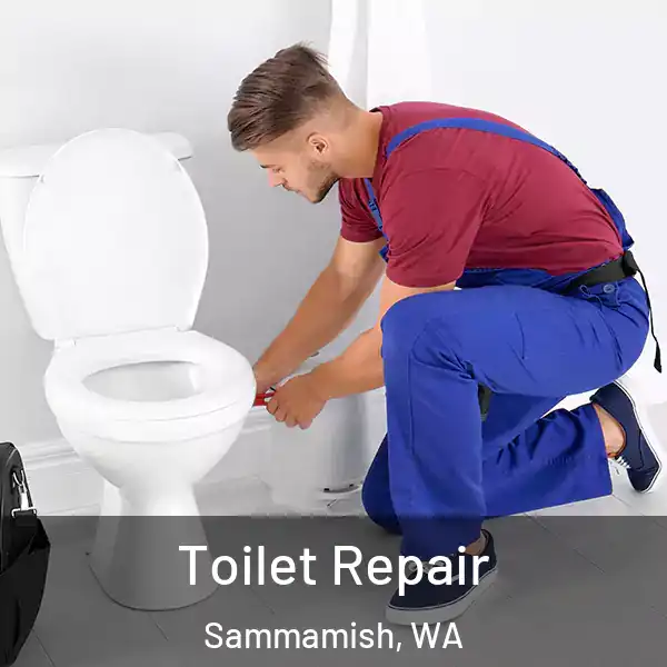  Toilet Repair Sammamish, WA