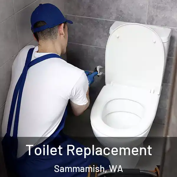  Toilet Replacement Sammamish, WA