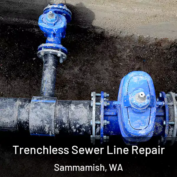  Trenchless Sewer Line Repair Sammamish, WA