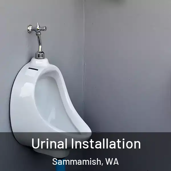  Urinal Installation Sammamish, WA