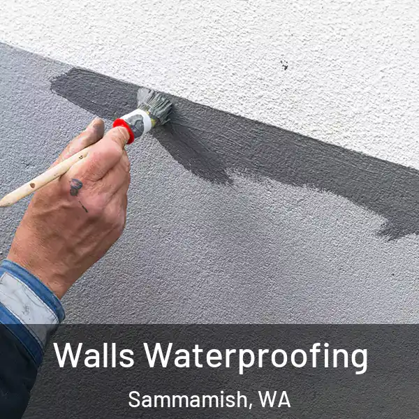  Walls Waterproofing Sammamish, WA
