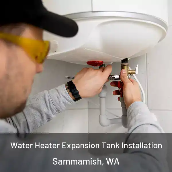  Water Heater Expansion Tank Installation Sammamish, WA