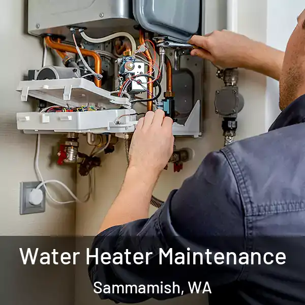  Water Heater Maintenance Sammamish, WA