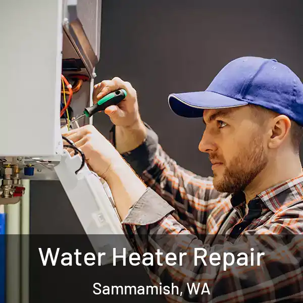  Water Heater Repair Sammamish, WA