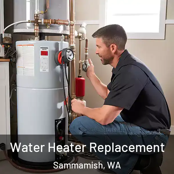  Water Heater Replacement Sammamish, WA