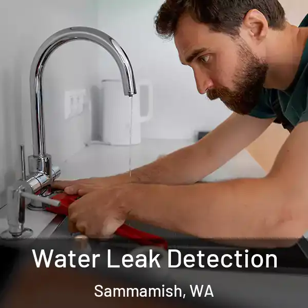  Water Leak Detection Sammamish, WA