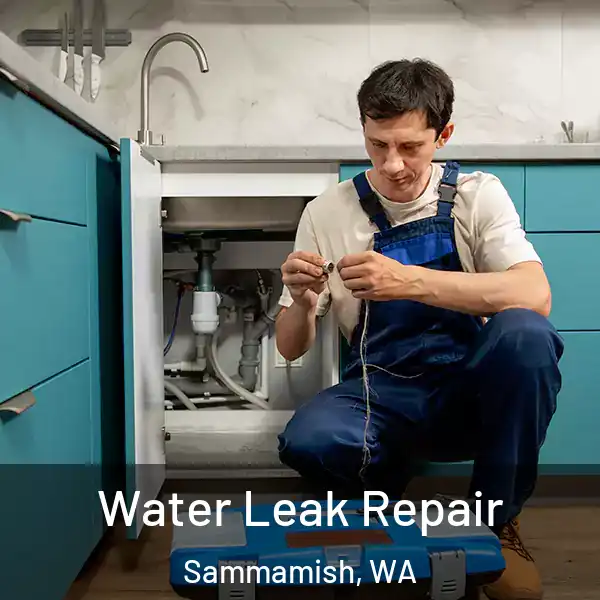  Water Leak Repair Sammamish, WA