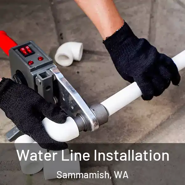  Water Line Installation Sammamish, WA