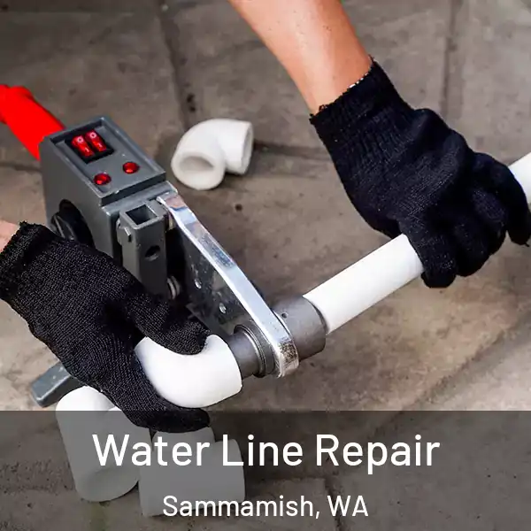  Water Line Repair Sammamish, WA