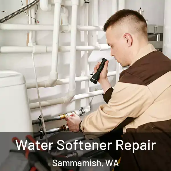  Water Softener Repair Sammamish, WA