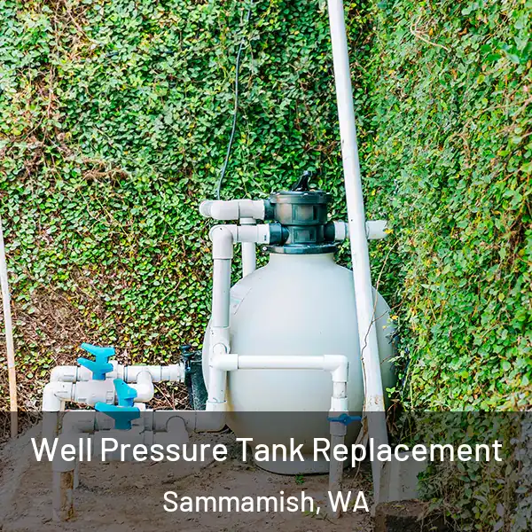  Well Pressure Tank Replacement Sammamish, WA